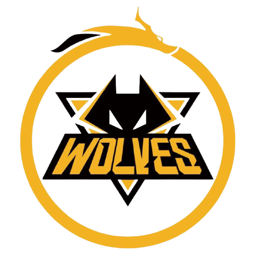 仅是球队实 仅是球队实