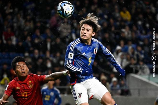 舍夫勒卫冕 舍夫勒卫冕