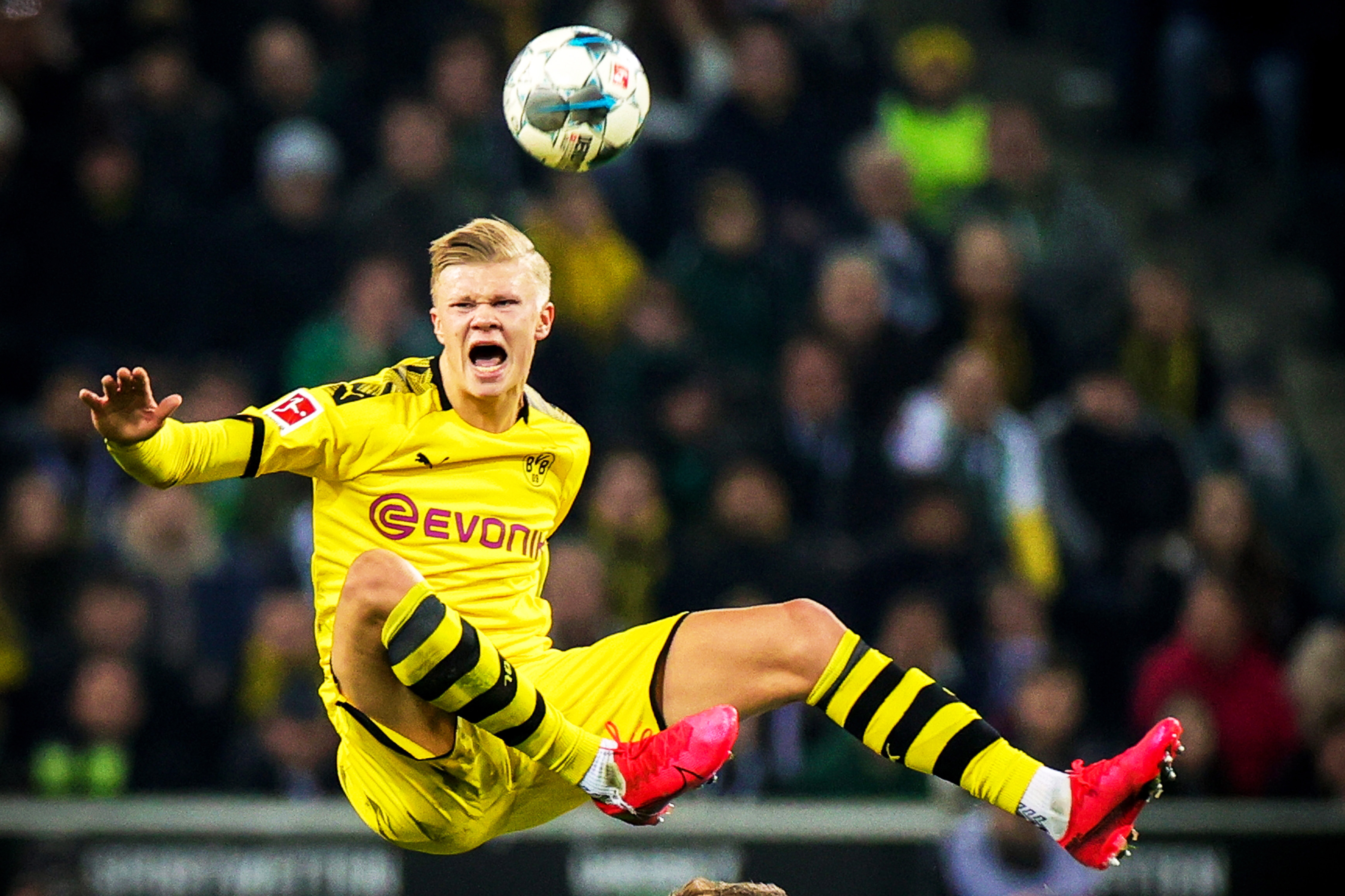 为了凑数而 为了凑数而