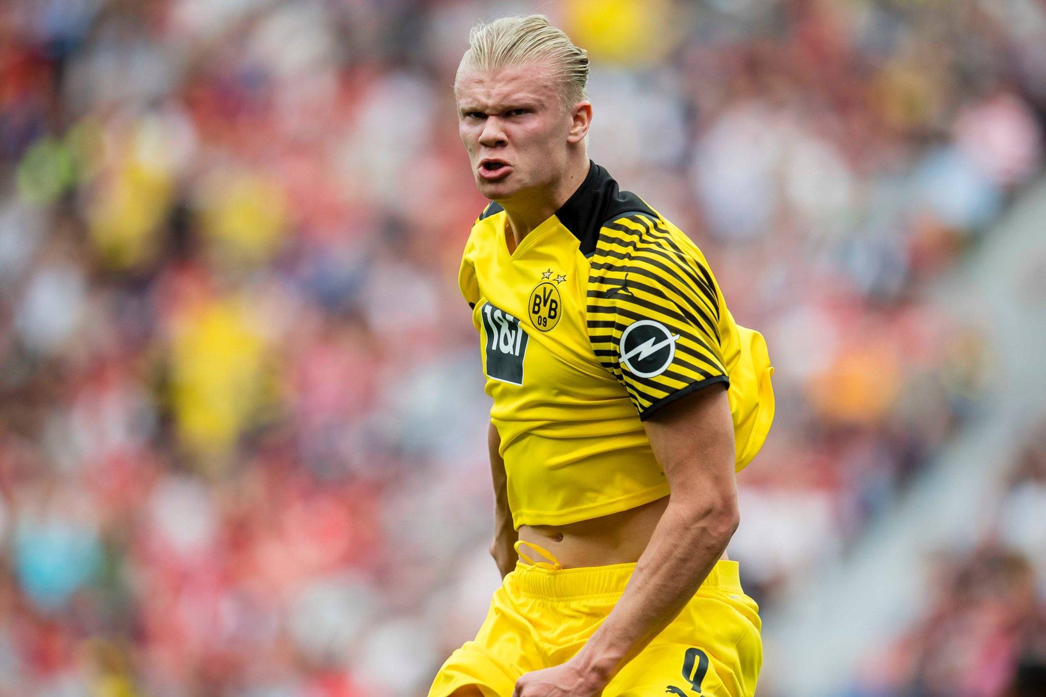 近期数据与 近期数据与