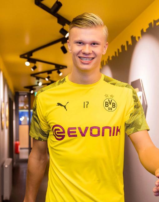 专家建议 专家建议