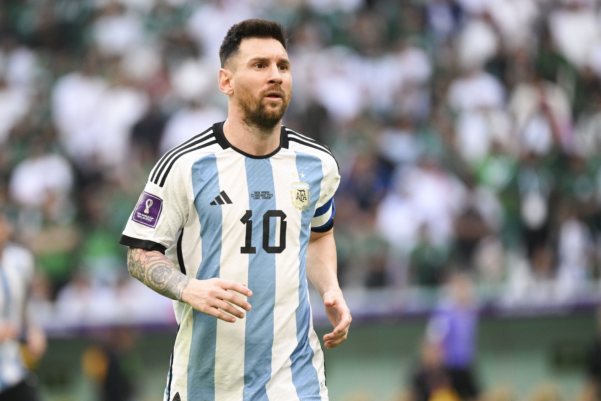 背后的Su 背后的Su